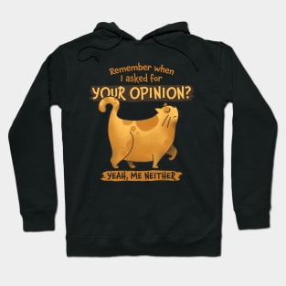 Unsolicited Opinion Hoodie